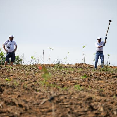 15 Aramijaya Tree Planting Day Day2 Preview 017