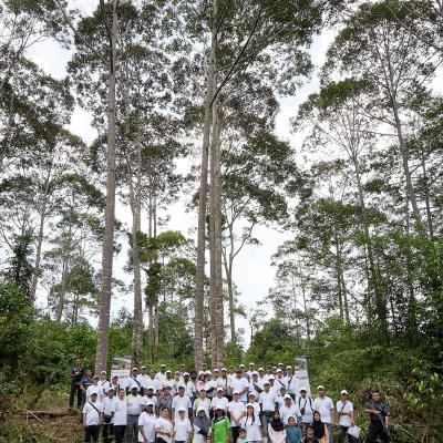 4 Aramijaya Tree Planting Day Day2 Preview 028